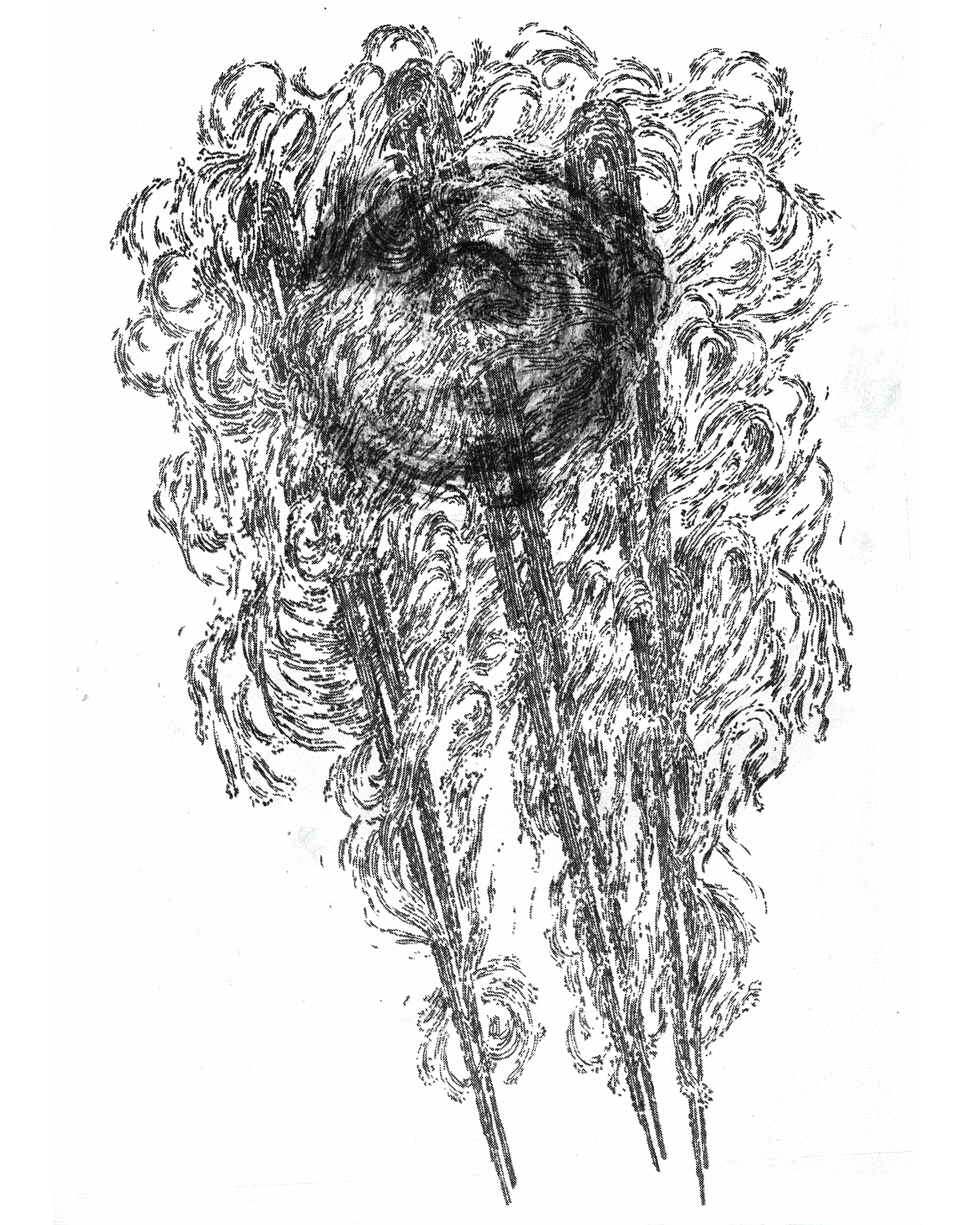 No. 7