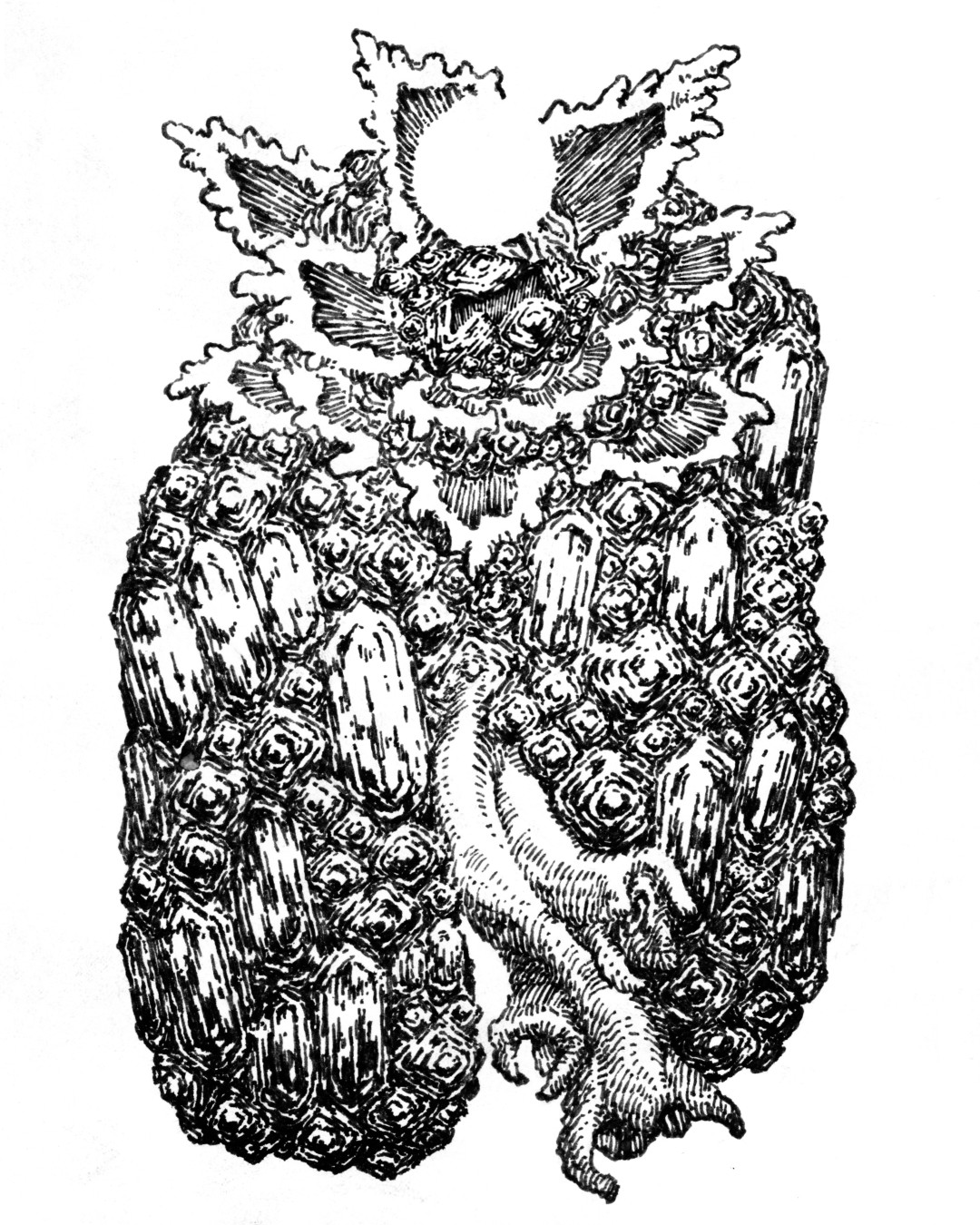 No. 6